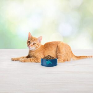 Blue Buffalo Freedom Grain Free Indoor Weight Control with Chicken, Peas & Potatoes Adult Premium Dry Cat Food - 11lbs