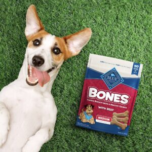 Blue Buffalo Beef Flavored Dog Biscuits Dog Treats - Medium - 16oz