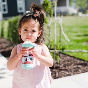 The First Years Sip & See Toddler Water Bottle - 12oz