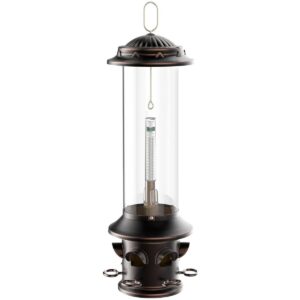 Droll Yankees Oil Rubbed Squirrel X Proof Bird Feeder - Bronze