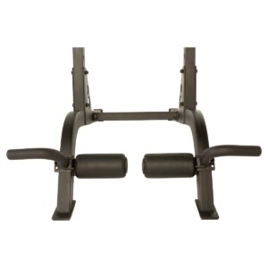 Fitness Reality X-Class High Capacity Multi-Function Power Tower