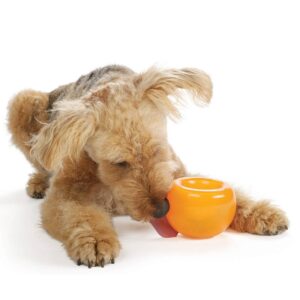 Planet Dog Orbee-Tuff Snoop Dog Toy - Orange