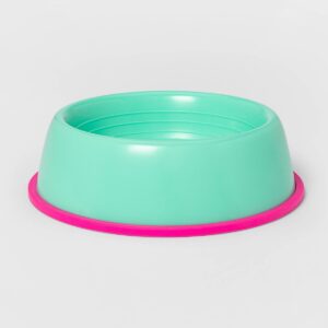 Teal Plastic Dog Bowl - Sun Squad™