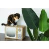 Park & Bench Tabby Telly Timber Cat Scratcher - Green