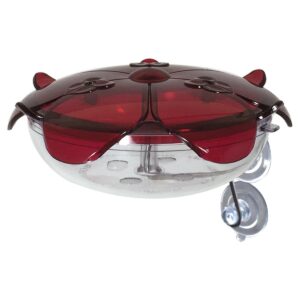 Droll Yankees The Ruby Sipper Window Hummingbird Feeder - Clear
