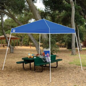 Z-Shade 10 x 10 Foot Angled Leg Instant Shade Outdoor Canopy Tent Portable Shelter with Durable Steel Frame and Carrying Bag, Blue