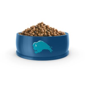 Blue Buffalo Indoor Health Salmon & Brown Rice Recipe Adult Premium Dry Cat Food - 15lbs