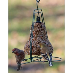 Home & Garden 9.5" Seed Bell Hanger Songbirds Bird Feed Mr Bird - Bird And Wildlife Food