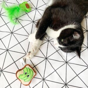 Quirky Kitty Avocado Toast