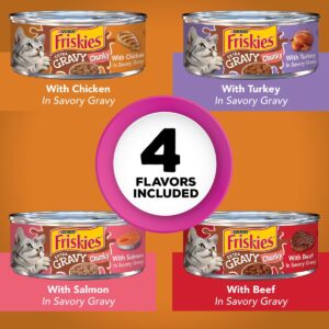 Purina Friskies Extra Gravy Chunky Chicken, Turkey, Salmon & Beef Wet Cat Food - 5.5oz/24ct Variety Pack