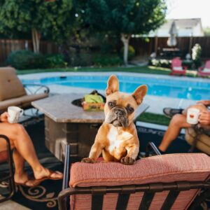 Earth Rated Unscented Waste Disposal Bags For Dogs - 300ct