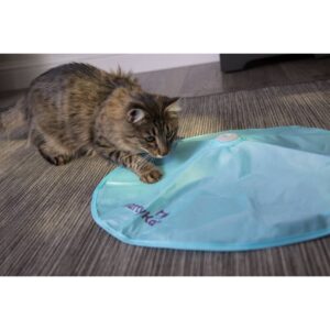 SmartyKat Hot Pursuit Electronic Light and Motion Cat Toy