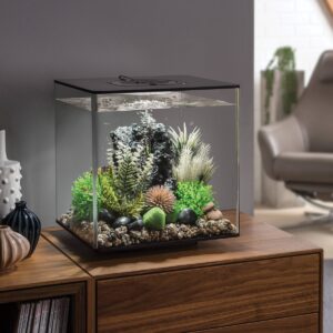 biOrb Moss Pebbles Aquarium Artificial Plants - Green