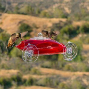 Droll Yankees WH-3 2 Flower Port Bird Feeder - 6oz