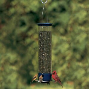 Droll Yankees Yankee Whipper Collapsing Curved Perch Squirrel Proof Bird Feeder - Blue - 21"