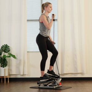 Sunny Health & Fitness Total Body Advanced Stepper Machine