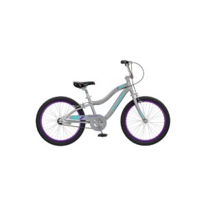 Schwinn Astrid 20" Kids' Bike - Gray