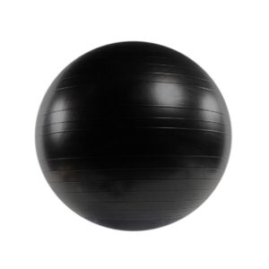 Power Systems Versa PRO Stability Inflatable Exercise Workout Ball Equipment for Home or Gym Balance & Strength Gain, 65 Centimeter/25.5 Inch (Black)