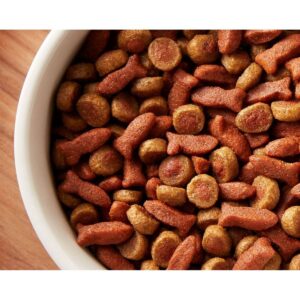 Rachael Ray Nutrish Tasty Salmon and Veggies Recipe Dry Cat Food - 2.5lbs