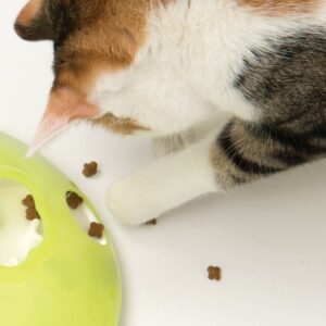 Catit Play Treat Spinner Cat Toy