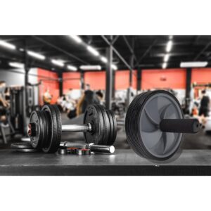 Mind Reader Dual Wheel Split Ab Roller, Black/Grey