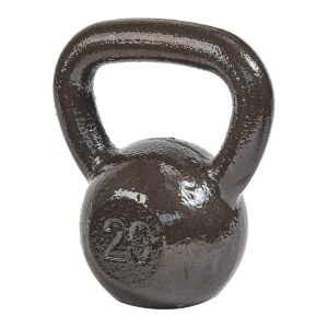 Everyday Essentials 20 Pound Full Body Fitness Exercise Strength Training Free Weight Kettlebell Weight Equipment for Home and Gym Workouts
