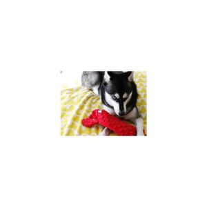 ZippyPaws - Bottle Crusherz, No Stuffing Dog Toy with Reusable Squeaker - Use Empty Water Bottles for Crunchy Chew Toys - Lobster