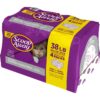 Scoop Away Instant Odor Control Clean Breeze Cat Litter - 38lb