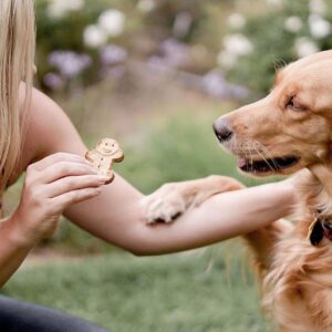 Buddy Biscuits Chicken Hip & Joint Chews Dog Treats - 5oz