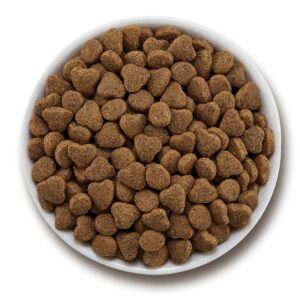 Purina Beyond Simply Salmon & Whole Brown Rice Recipe Adult Premium Dry Cat Food - 6lbs