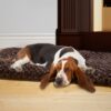 Petmaker Jumbo Cushion Pillow Pet Bed - Chocolate