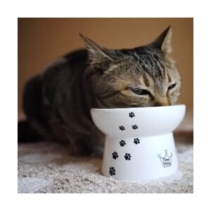 Necoichi Raised Cat Food Bowl