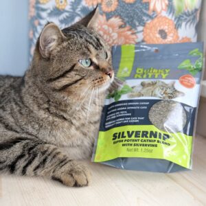 Quirky Kitty Silvervine & North American Catnip Blend Cat Treats - 1.25oz