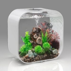 biOrb Ancient Conch Ornament Aquarium Sculptures - Brown