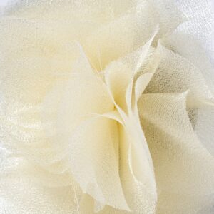 Chiffon Flower Dog and Cat Collar Slide - 3.5" - Cream - Boots & Barkley™