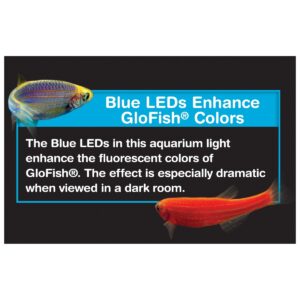GloFish Universal LED Light, For Aquariums Up To 15 Gallons, With Color-Enhancing Blue LEDs