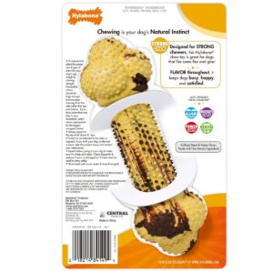 Nylabone Steak and Potatoes Flavored Rubber Duel Action Dog Chew Toy - L
