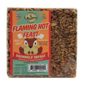 Home & Garden 4.5" 4 Small Cakes & Cage Set / 5 Bird Woodpecker Bug Nut Flaming Mr Bird - Bird And Wildlife Food