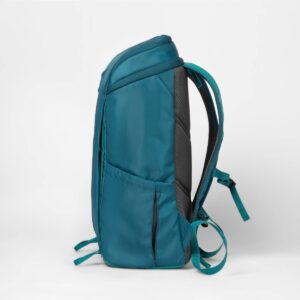 20.5" Daypack Turquoise Blue - Embark™