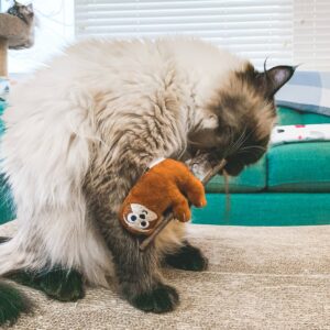 Quirky Kitty Silvervine Stick Sloth Cat Toy - Brown