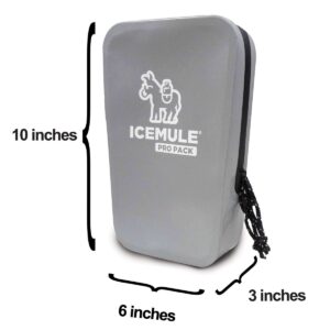 IceMule 1310 Pro Pack Strong and Durable Outdoor Water Resistant Travel Sized Camping Accessory Storage Pouch and Dry Bag, Grey