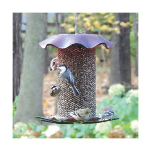 Birds Choice 3qt Safflower Forever Bird Feeder - Red