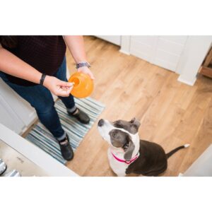Planet Dog Orbee-Tuff Snoop Dog Toy - Orange