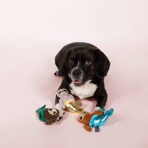 PetShop by Fringe Studio Mersloth Set Dog Toys - 3pk