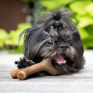Benebone Maple Stick Dog Toy - S