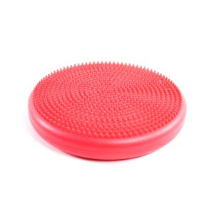 Power Systems 80159 Versa Inflated Cushion Disc Fitness Equipment for Home or Gym Balance Exercise Stability Workout or Sensory Support Therapy, Blue