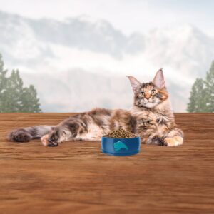 Blue Buffalo Wilderness Grain Free Indoor with Chicken Adult Premium Dry Cat Food - 11lbs