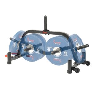 Sunny Health & Fitness Multi-Weight Plate and Barbell Rack Storage Stand