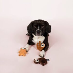 PetShop by Fringe Studio Basic Sloths Set Dog Toys - 3pk