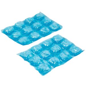 Igloo MaxCold Natural Ice Cooler 2pk
